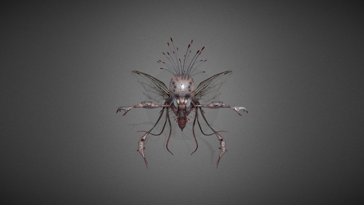 Hymenbuzz_Creature design 3D Model