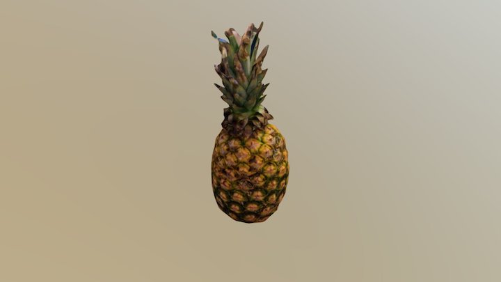 pineapple 3D Model