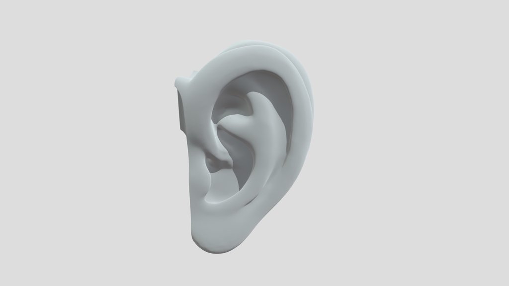 Ear