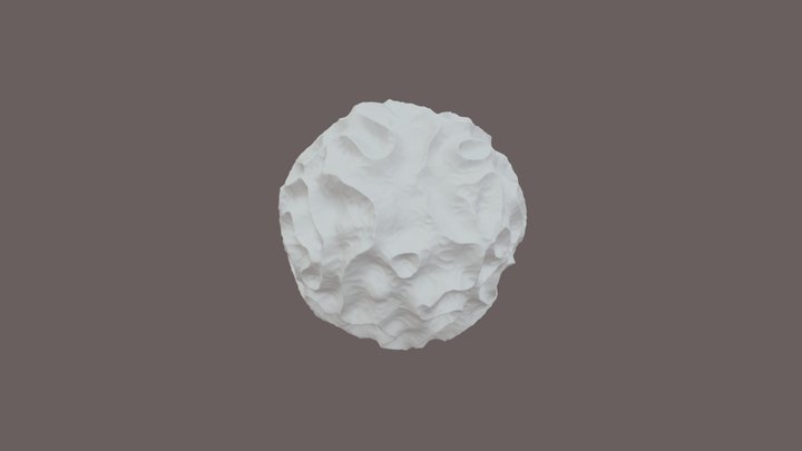 Coral Rock 3D Model