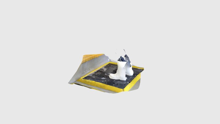 Boots and foot bath 3D Model
