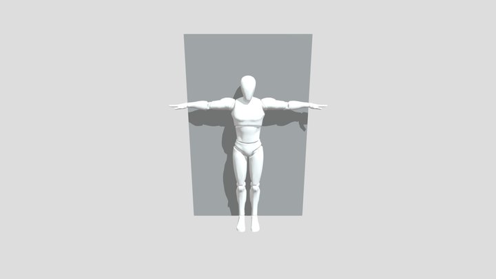 单脚交替静蹲 3D Model