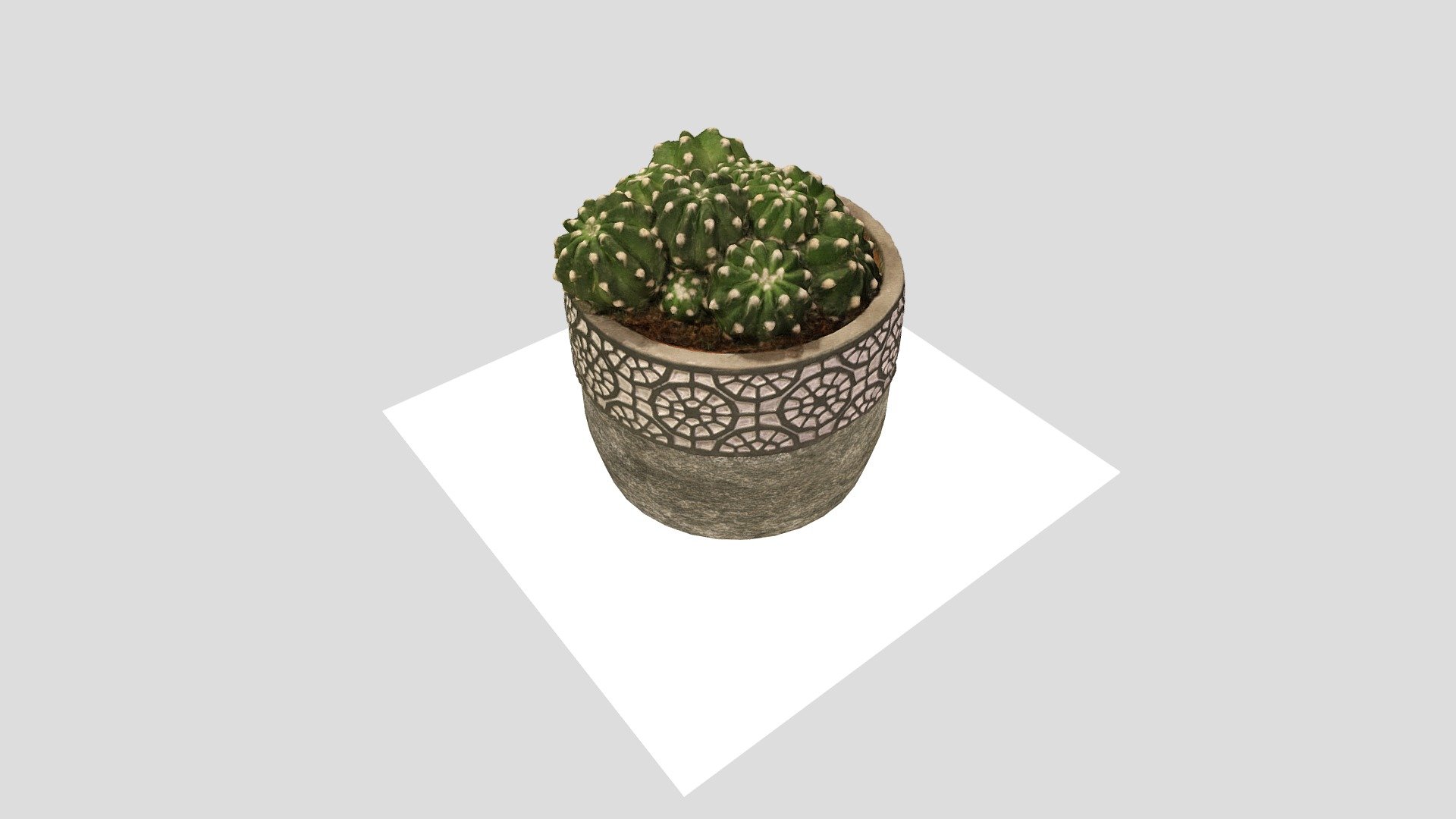 Cactus Echinopsis subdenudata — Sketchfab embed 3D viewer