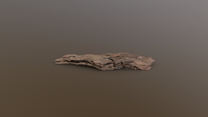 Coast Redwood Bark Piece (Sequoia Sempervirens) – Free 3D Model STL