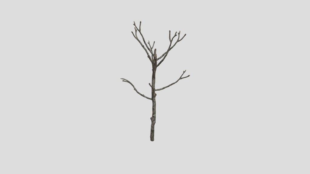 Dead Tree Hq