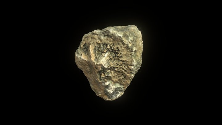 Coral Monster 3D Model