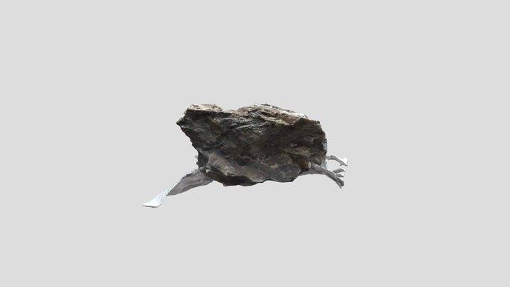 Muscovite 3D Model