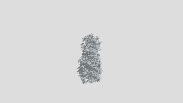Shrub_ Spice Bush trees 3D Model