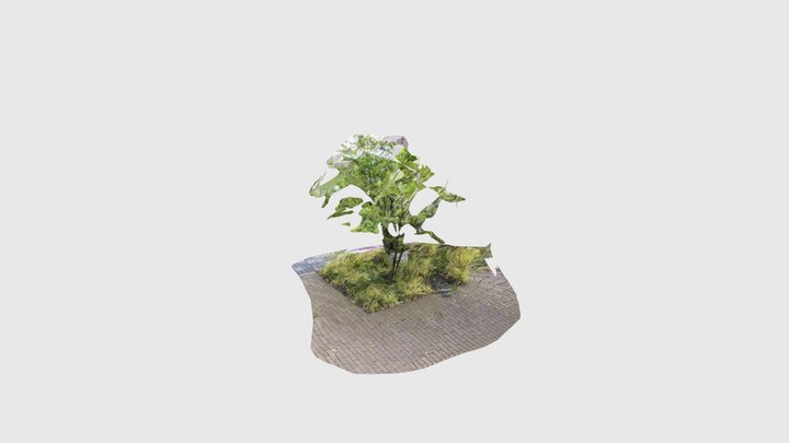 ritsumei24x_kii 3D Model