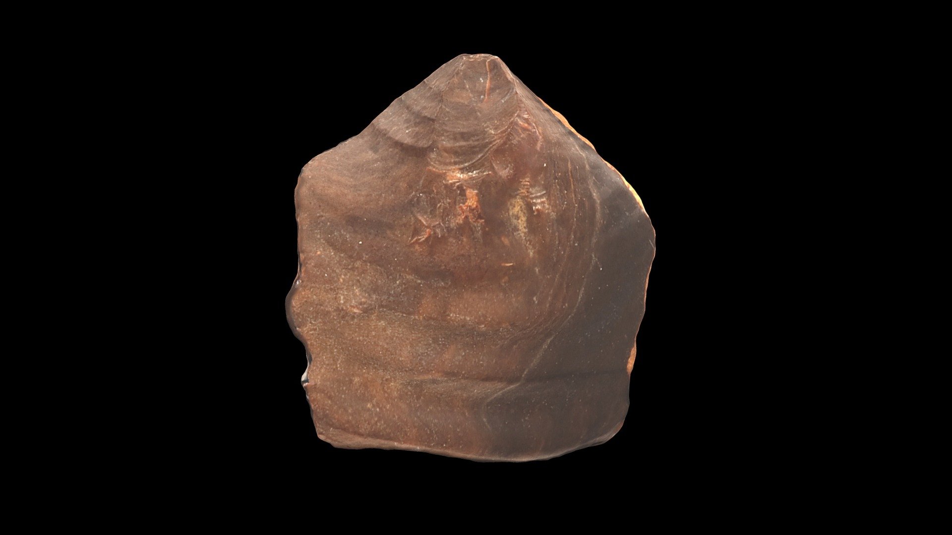 Basic Lithic Flake Morphology 2 - Download Free 3D model by danderson4 ...