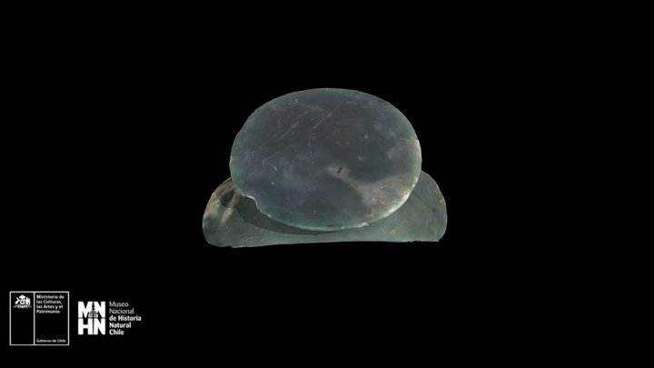 Tembetá de Freirina – Gratis 3D-model STL