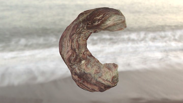 Fossilised Coral 3D Model