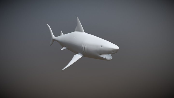 High Poly Shark 3D Model