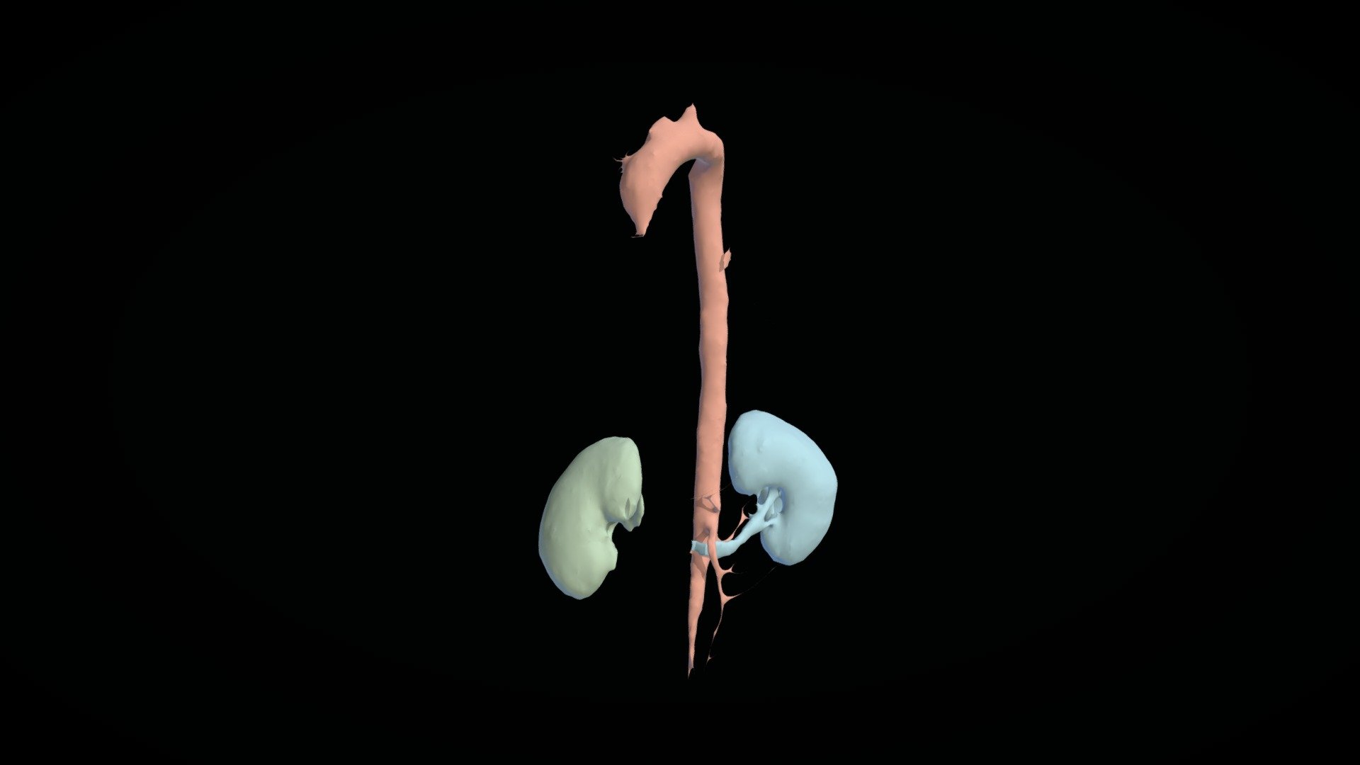 CTACardio Segmentation
