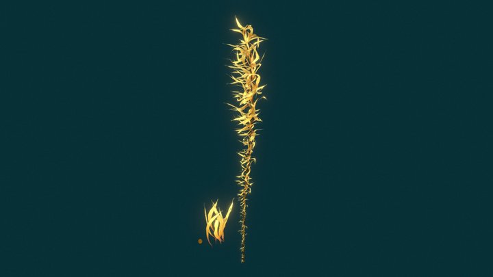 Kelp 3D Model