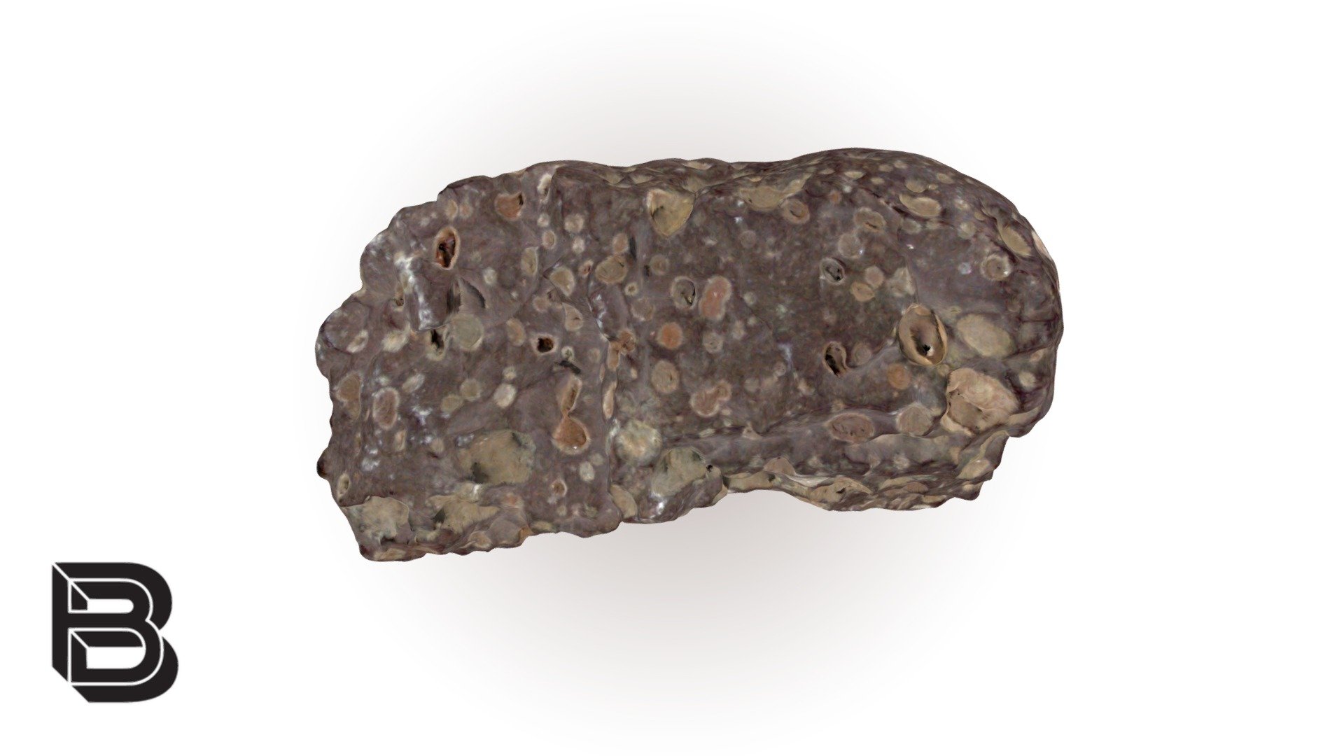 Vesicular Basalt - 3D model by The Bishop Museum of Science and Nature ...