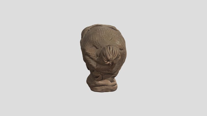 Brown Hatted Face Sculpture棕色帽子脸部雕塑OBJ格式3D模型 – Kostenloses 3D-Modell STL