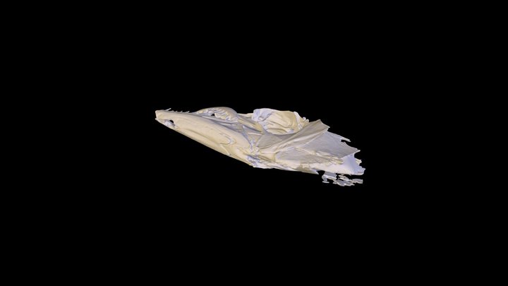 Atlantic Cutlassfish (Trichiurus lepturus)_50 3D Model