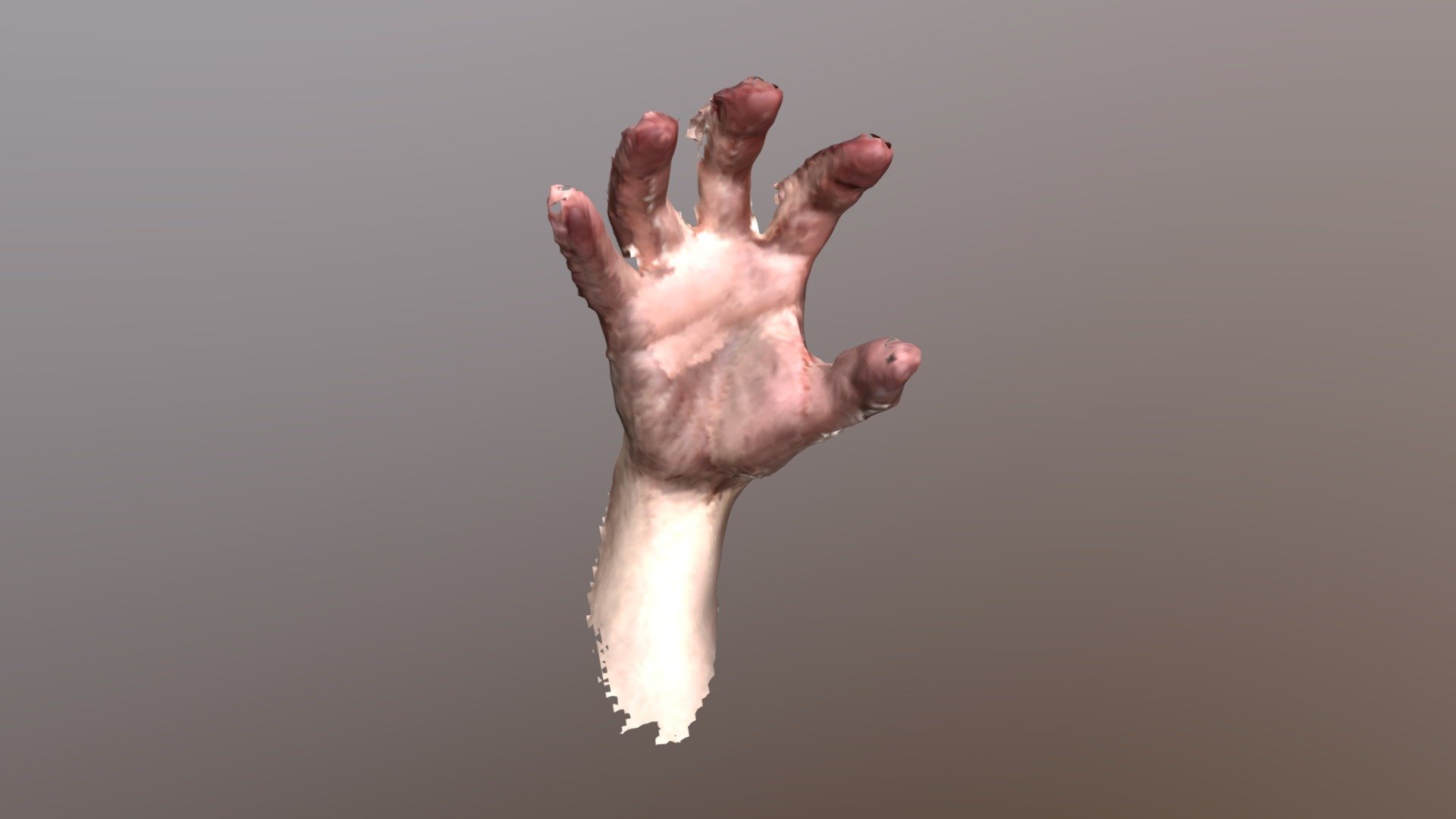 Hand