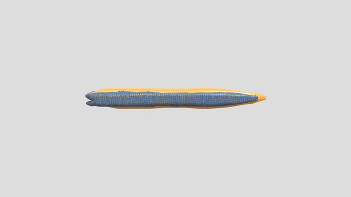 eeltest 3D Model