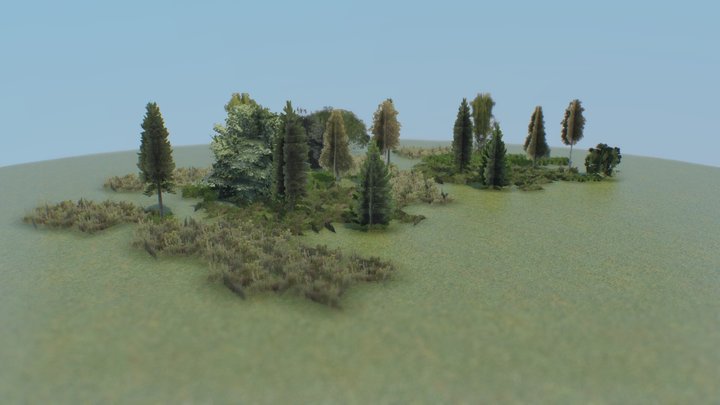 low poly vegetation patch 3D Model
