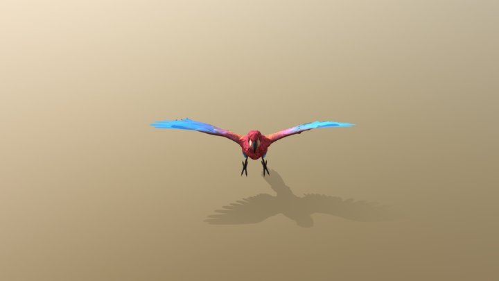 Parrot Animation Test 3D Model