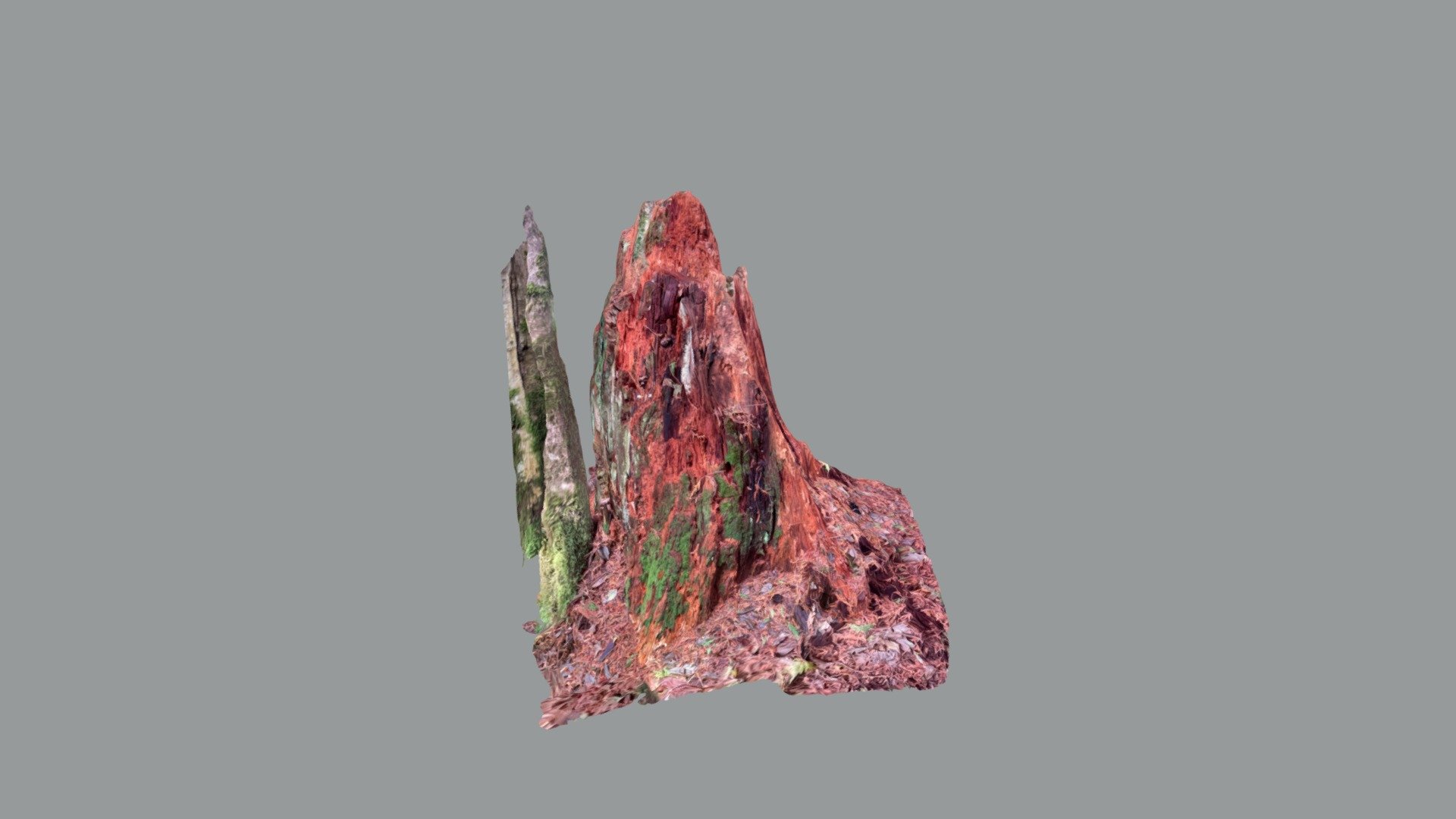 Stump
