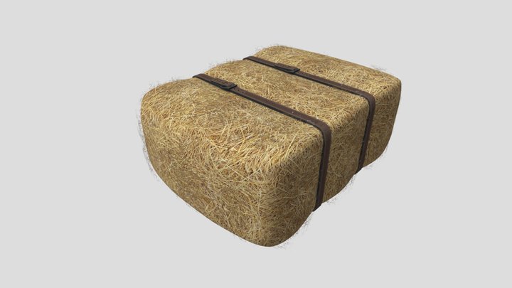 Hay_HP 3D Model