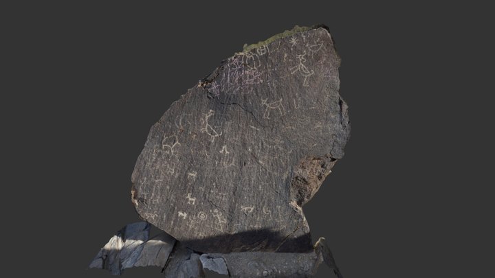 Busy Petroglyph Scene in South Mountain Park, AZ 3D Model