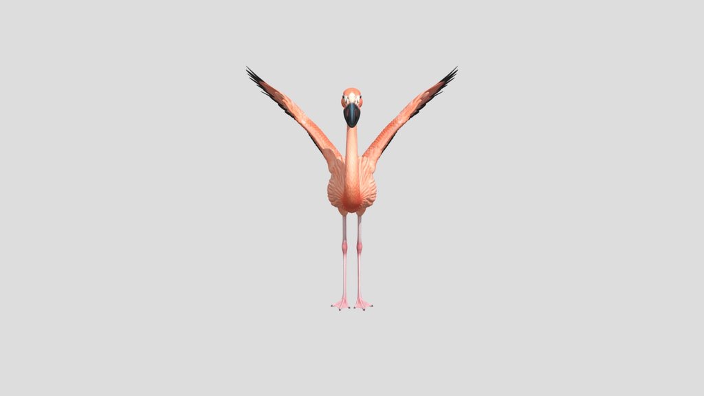 Flamingo v1