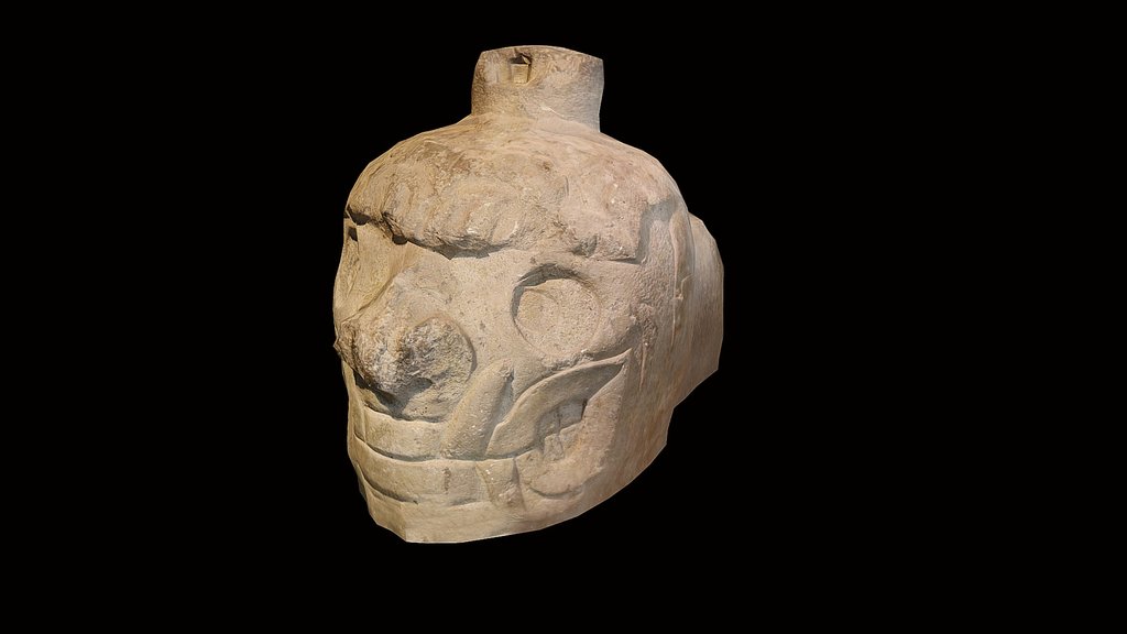 Cabeza  Clava RN192476