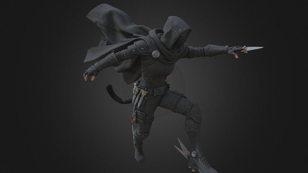 Stealth Nano Assassin Operative