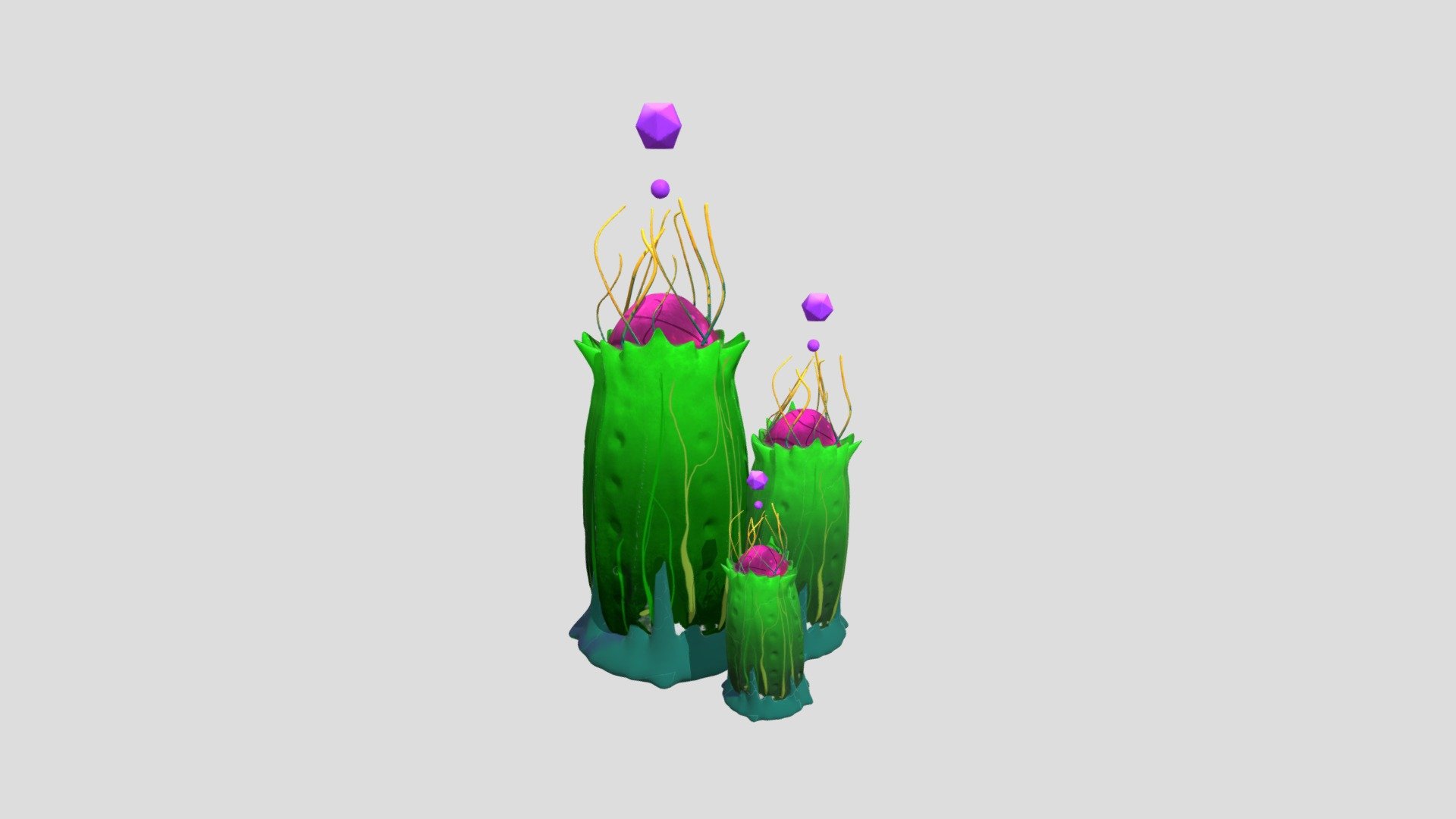 CACTUS