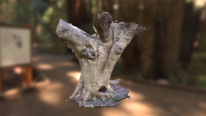 Spooky Tree 3D Model
