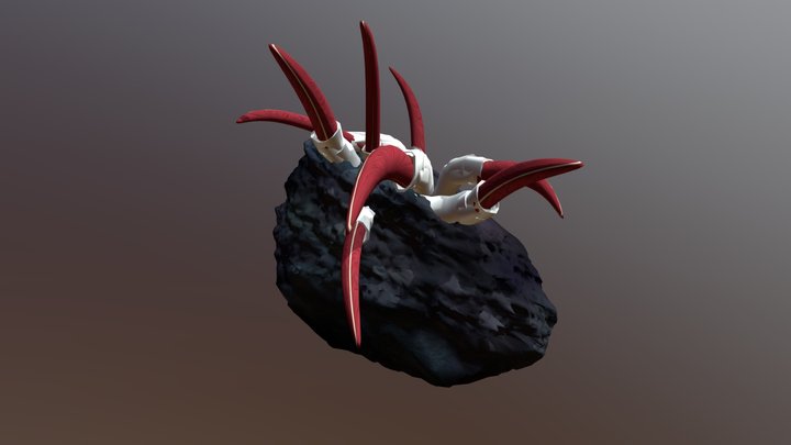 Riftia pachyptila 3D Model