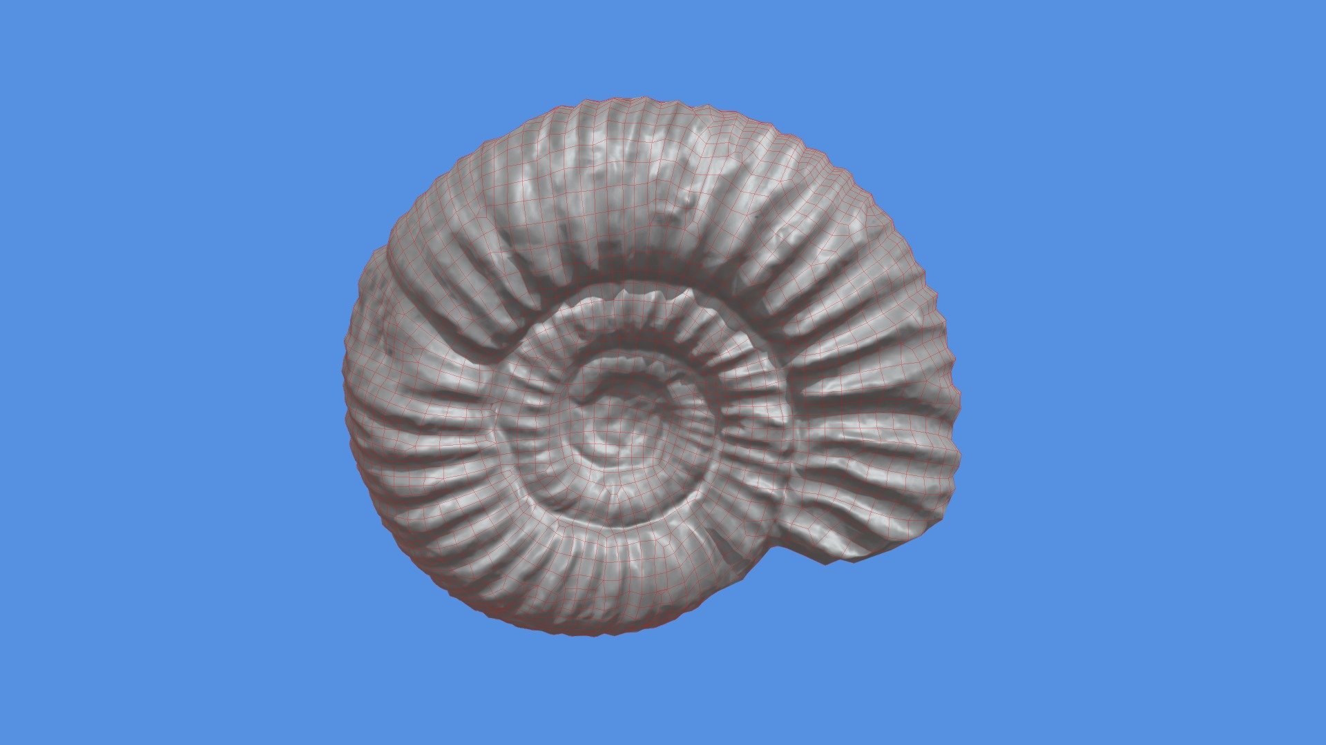 shell_lp