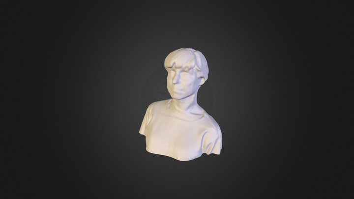 Sara Self Portrait Kinect 3D Scan 3D Model