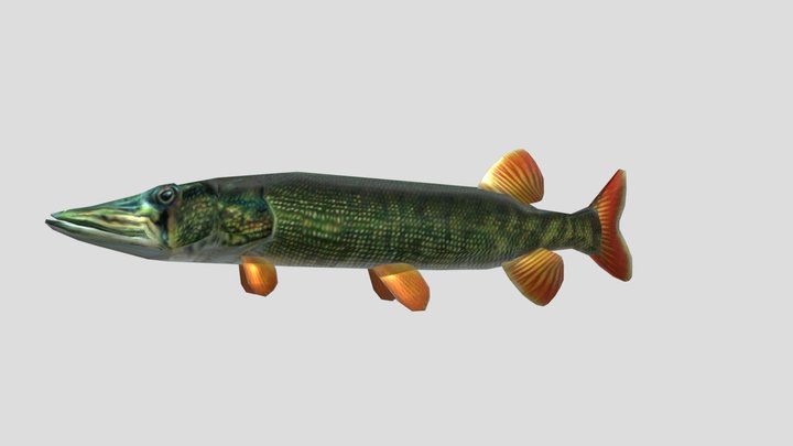 Pike 3D Model