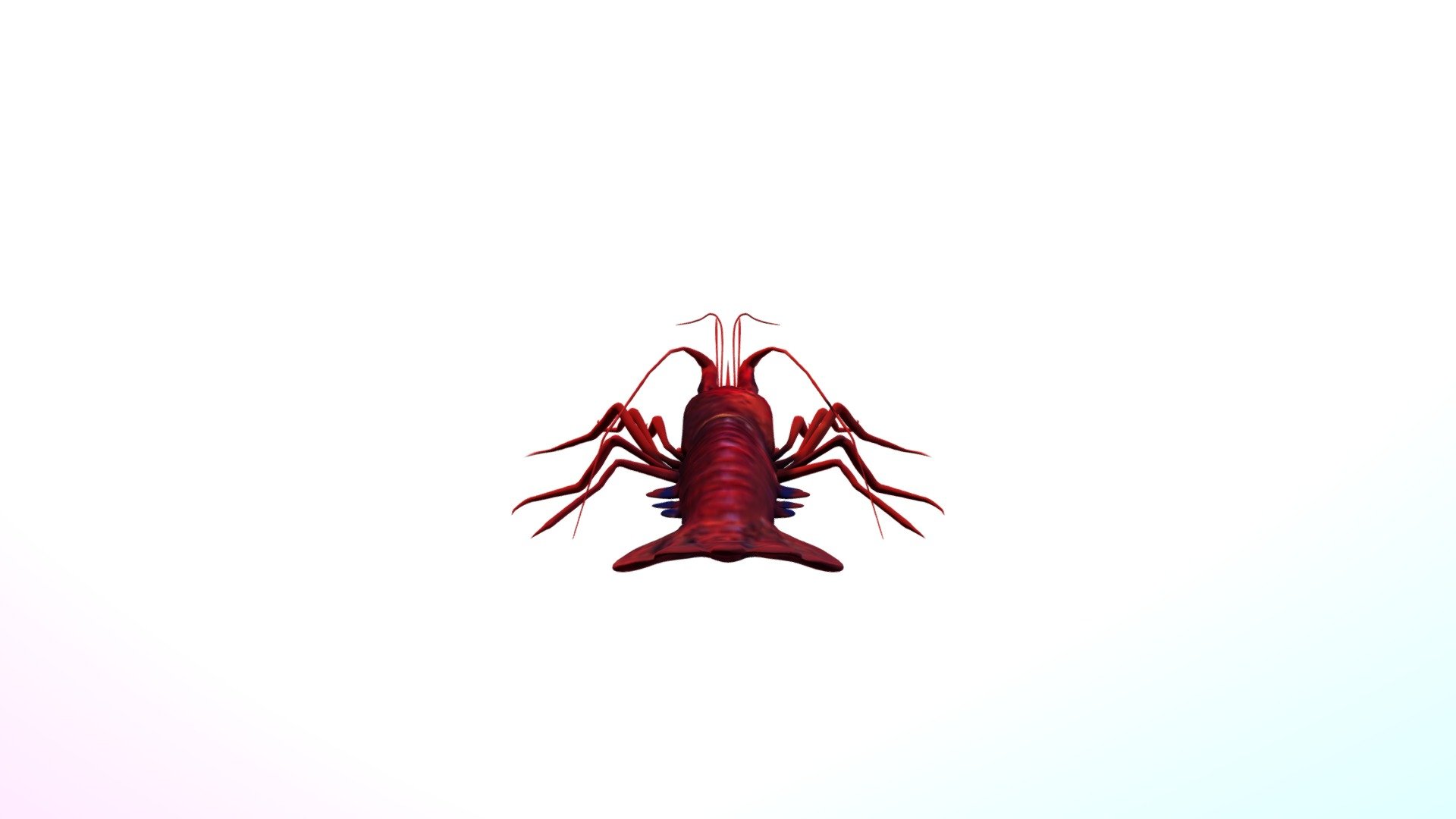 伊勢海老 - 3D model by ky0k0612 [7eddbee] - Sketchfab