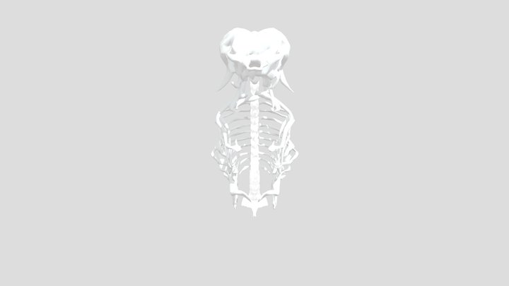 low_xtrux_bone 3D Model