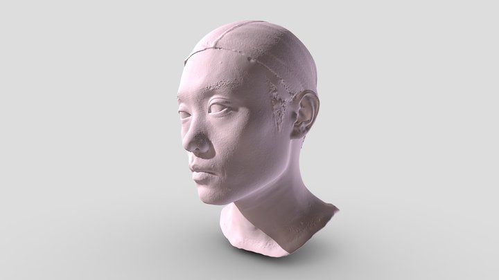 Human