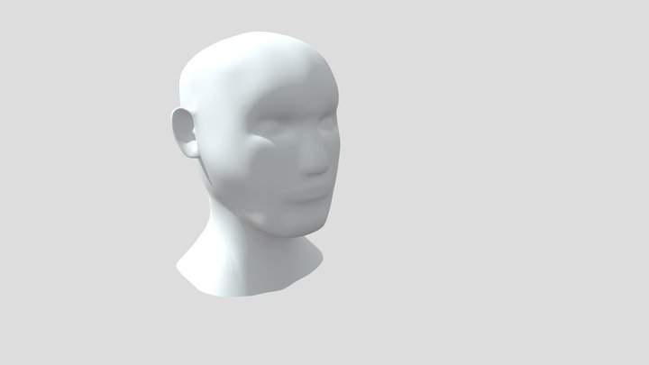 Human Head basemesh 3D Model