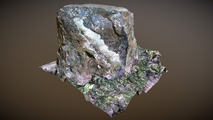 Rock 3D Model