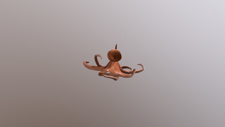 Octopus, folder exam 3D Model