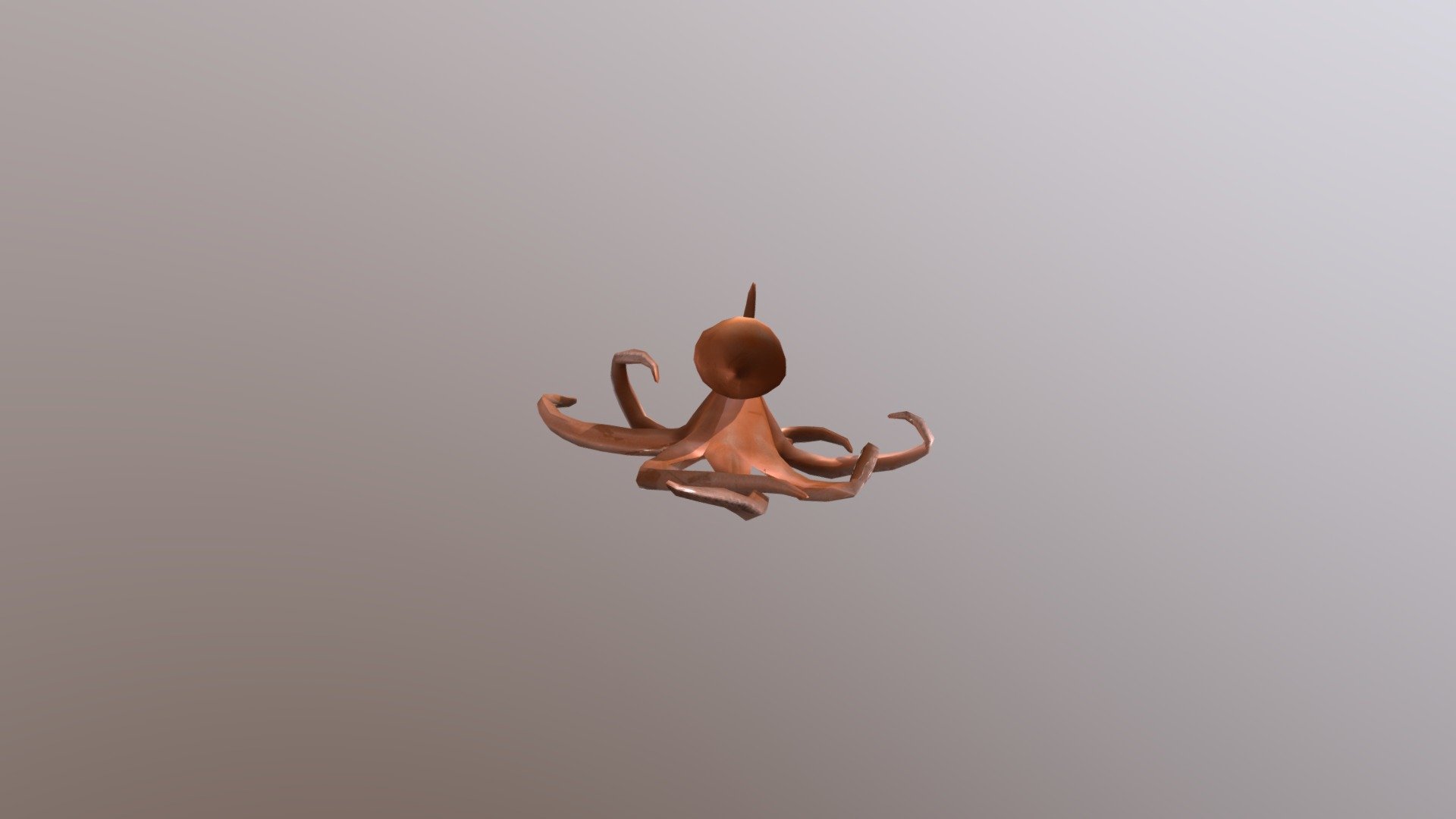 Octopus, folder exam