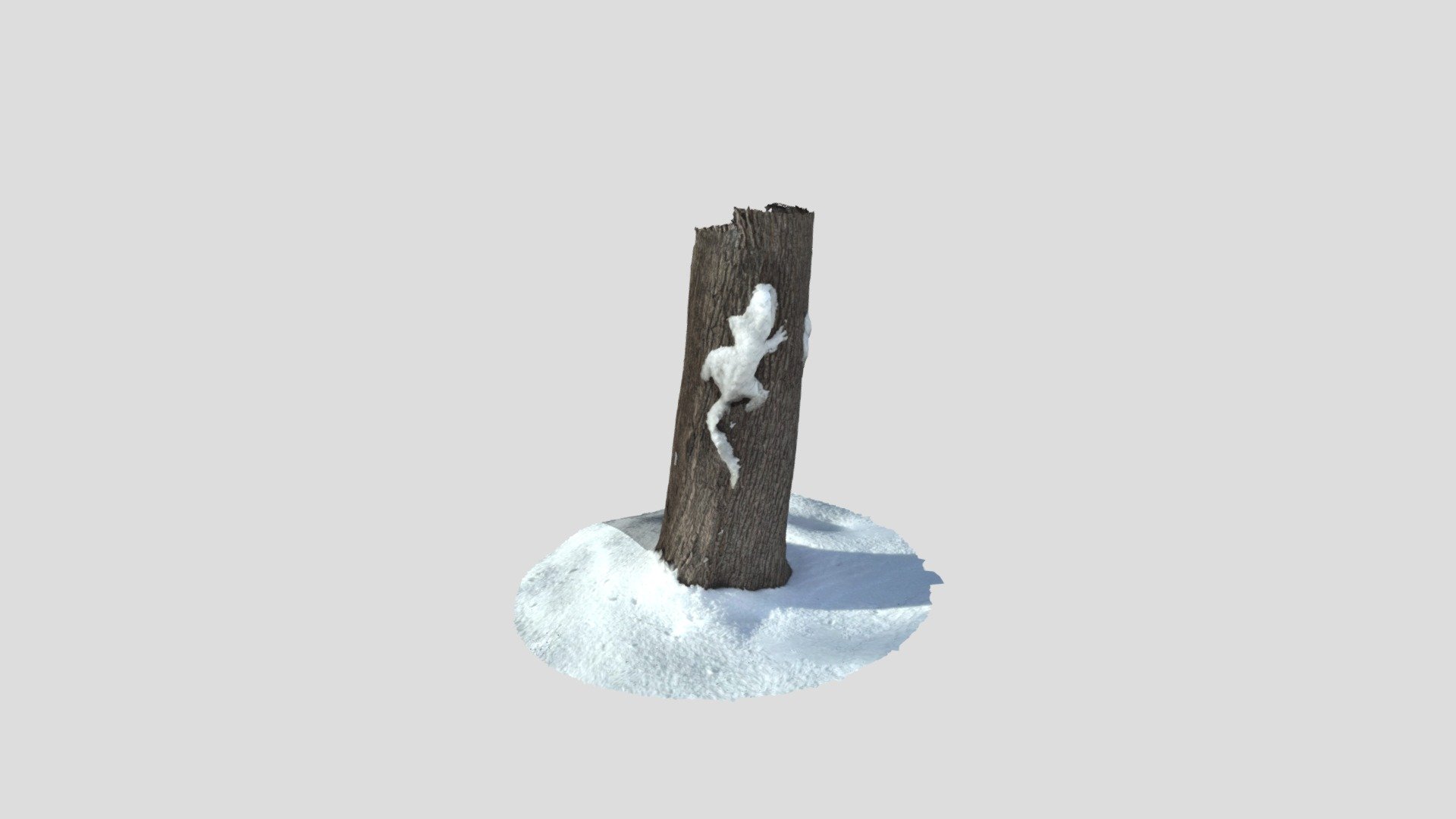 Snow Gekko on the tree