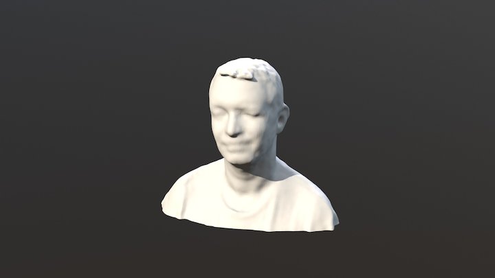 Selfie 3D Model