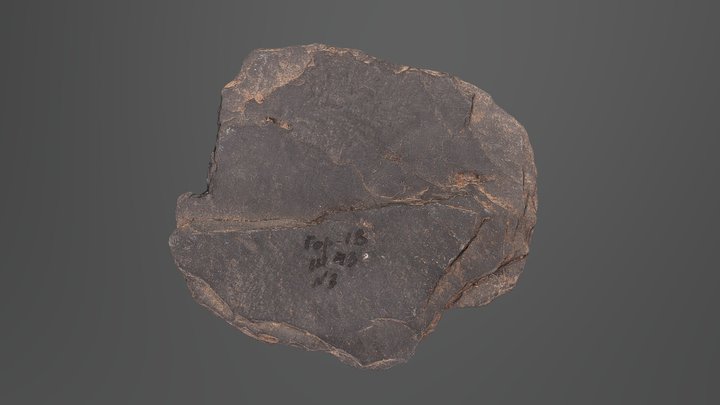 Object #3 3D Model