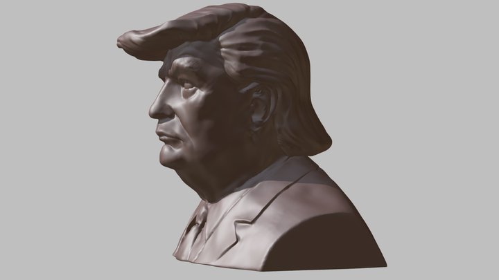 Donald Trump 3D Model
