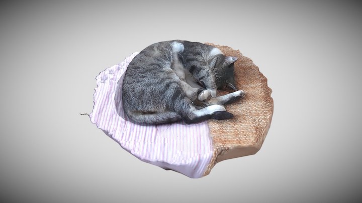 Milonga 3D Model